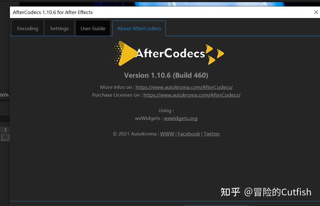 free instal AfterCodecs 1.10.15