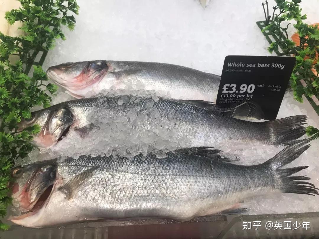 海鲈鱼(sea bass)