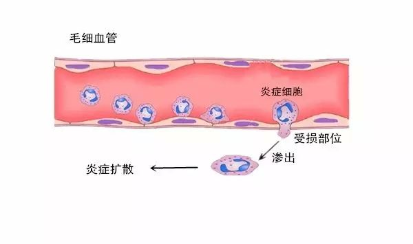 怎么样才能不长痘痘? - 知乎