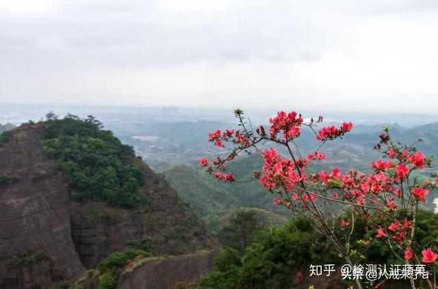 蒼石寨旅遊區:位於廣東南雄市西北部的蒼石鎮境內, 蒼石寨原為當地