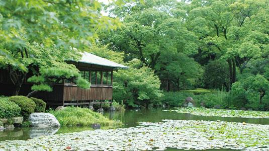 大阪都市中的休闲胜地 天王寺公园 知乎