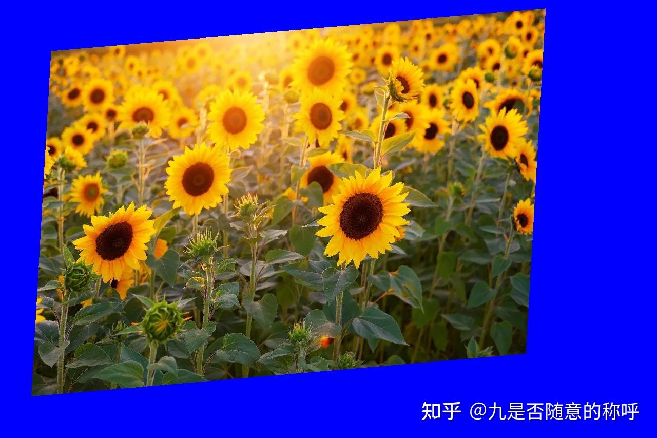 OpenCV Python C Opencv python c