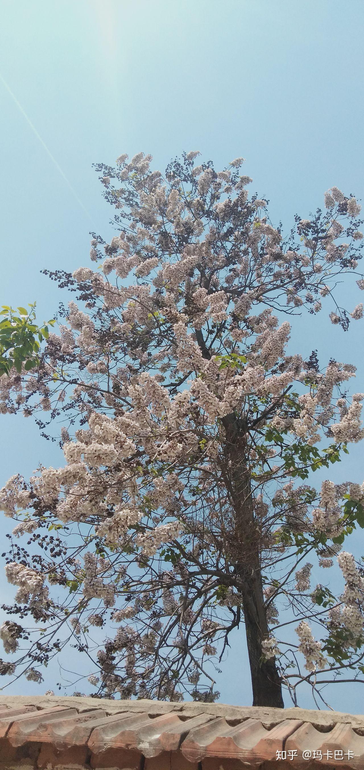 家住农村的各位同学期待开学吗? - 知乎