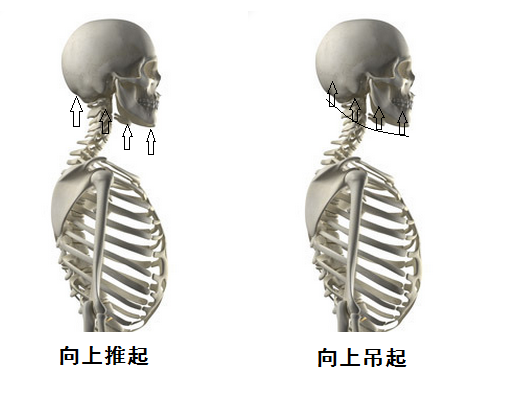 求靠谱颈椎牵引器推荐,韩国DiskDr怎么样?