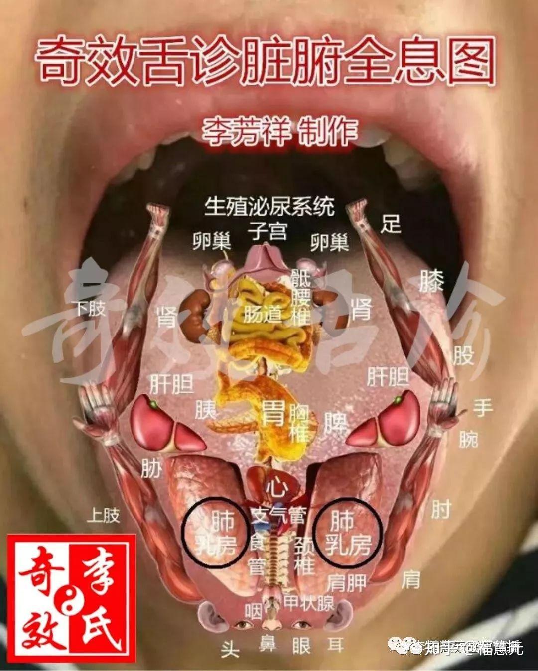 中醫 舌診 表 中醫舌診臨床圖解 簡體書 - 三民網路書店