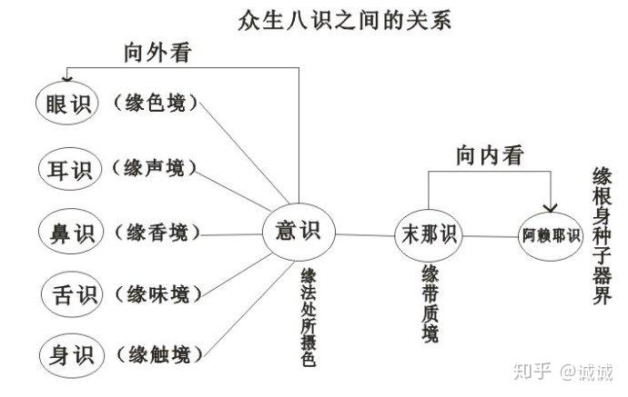 八识心王图解图片