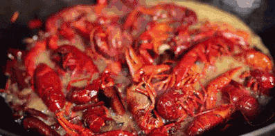 抖音美食的那个音乐是什么名字_抖音美食节目_抖音网红美食音乐节