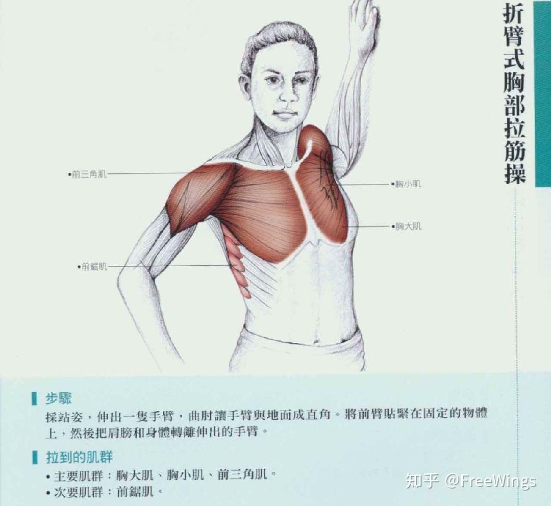 上交叉綜合徵解析與矯正