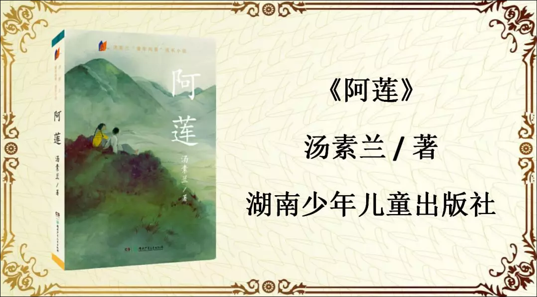 四年级书单 | "幸运"终会降临《阿莲》