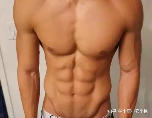 腹肌是哪种肌肉 v2-4da53b47878178689697f454318f3216_r.jpg