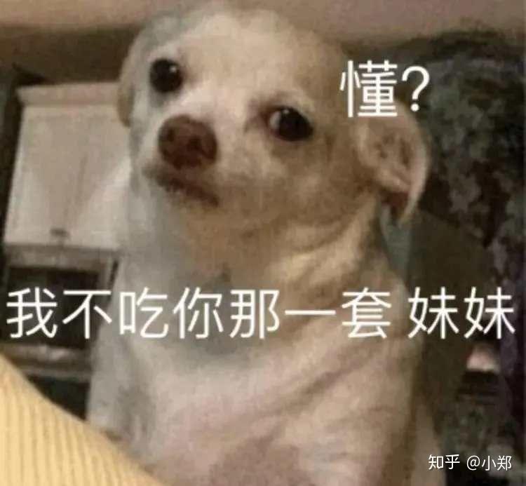 v2-4db70800532d5ecdd6bb05a07e3636c2_r.jpg