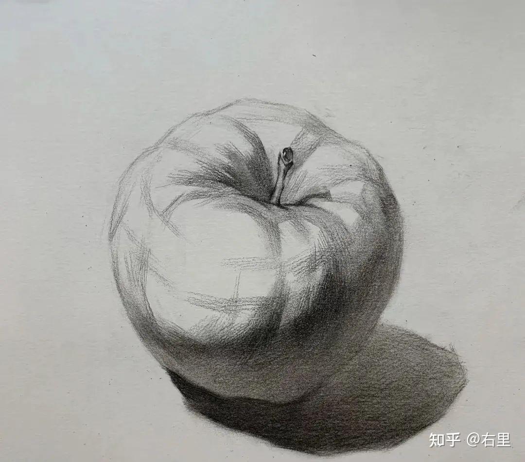 素描二——作画的步骤- 知乎