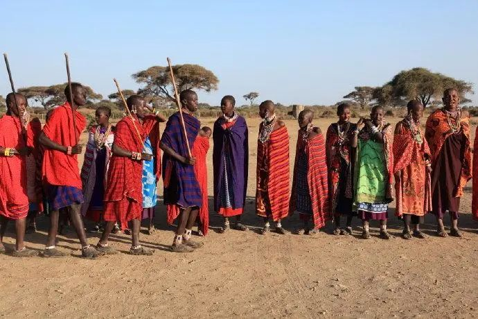 红衣烈烈马赛族:雄狮终结者,也是东非草原的守护民