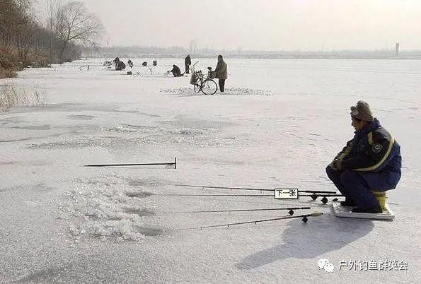 雪天釣者應針對目標魚種鯽魚適當調整餌料.