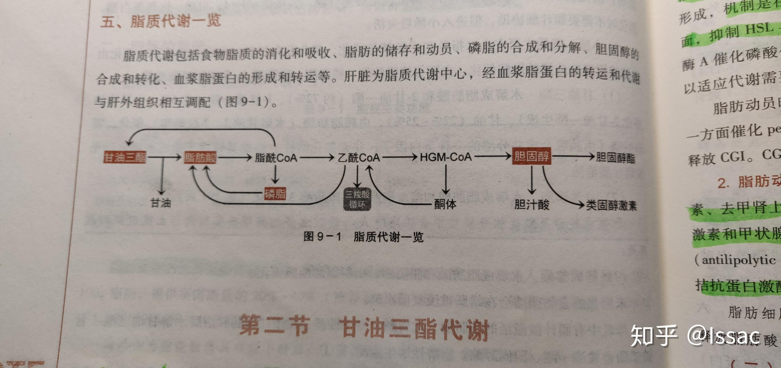 人体的脂质代谢是怎么个流程? - 知乎