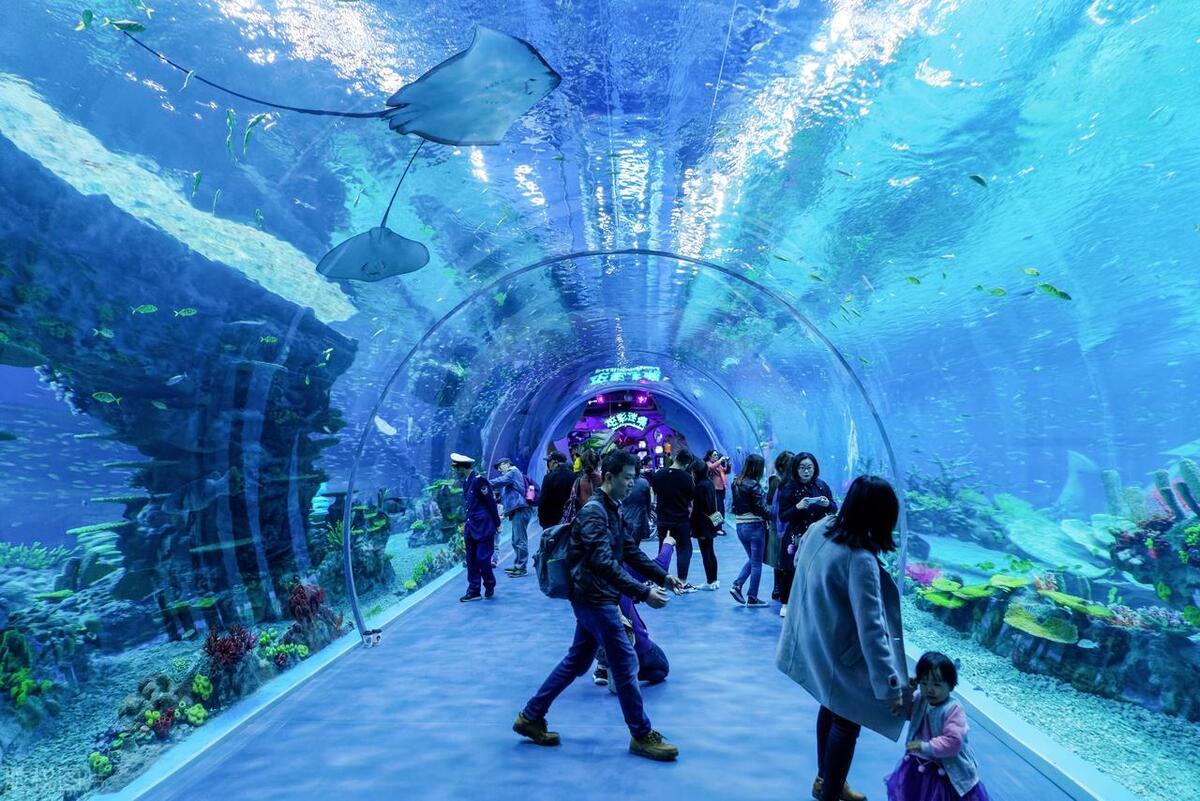 6 上海海洋水族馆 - 4a(预估票价:155元)