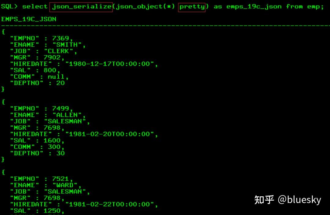 Oracle 19c json 