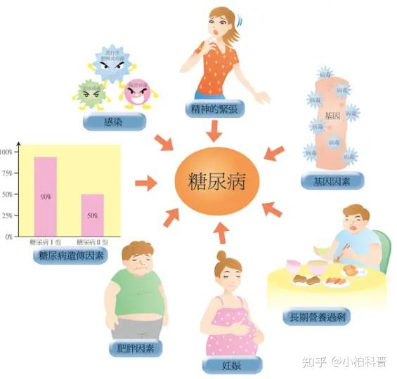 糖尿病遗传图谱图片