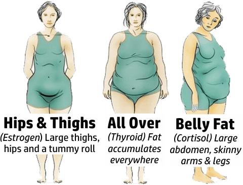 压力激素皮质醇的危害和对应