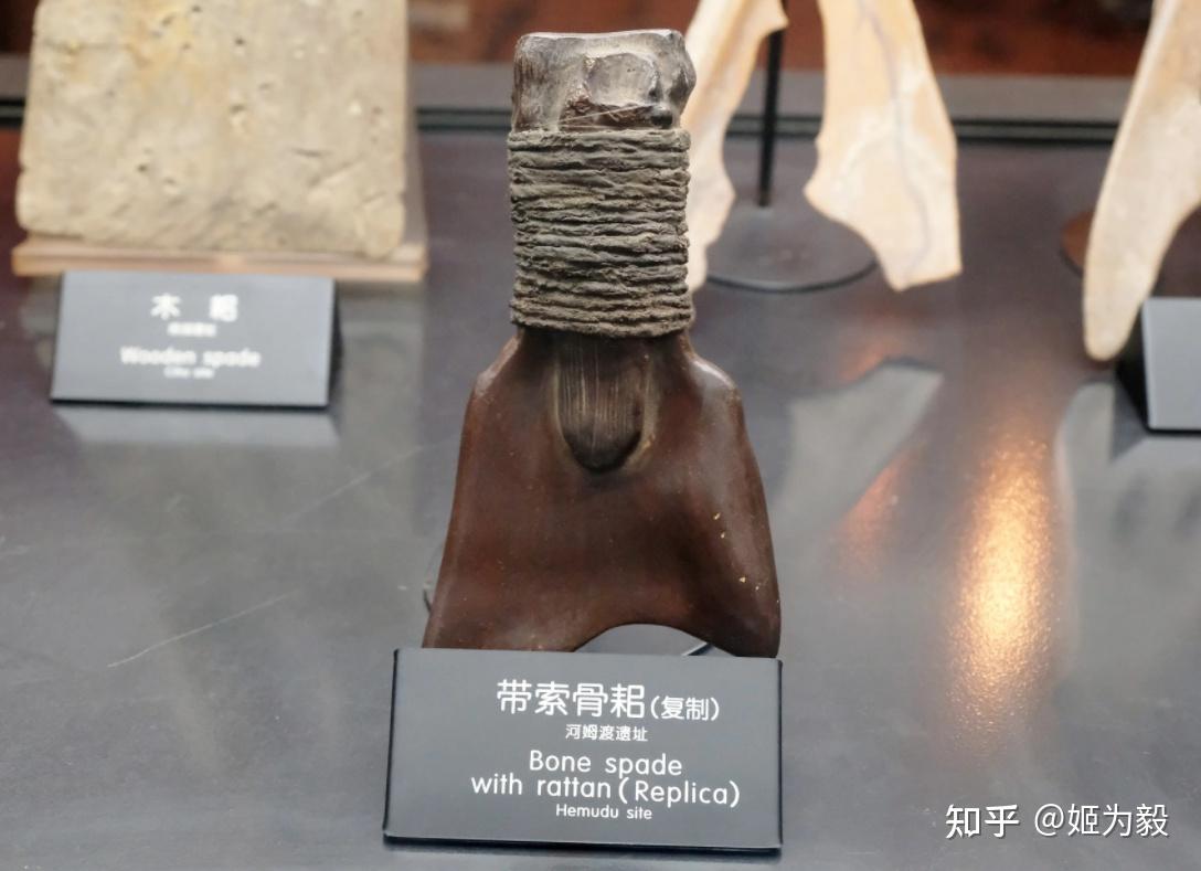 神农氏有哪些贡献,为什么会被后世奉为农业之神? - 知乎