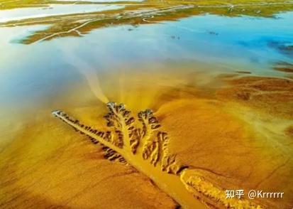 当河流拥抱海洋：淤泥质海岸 - 知乎