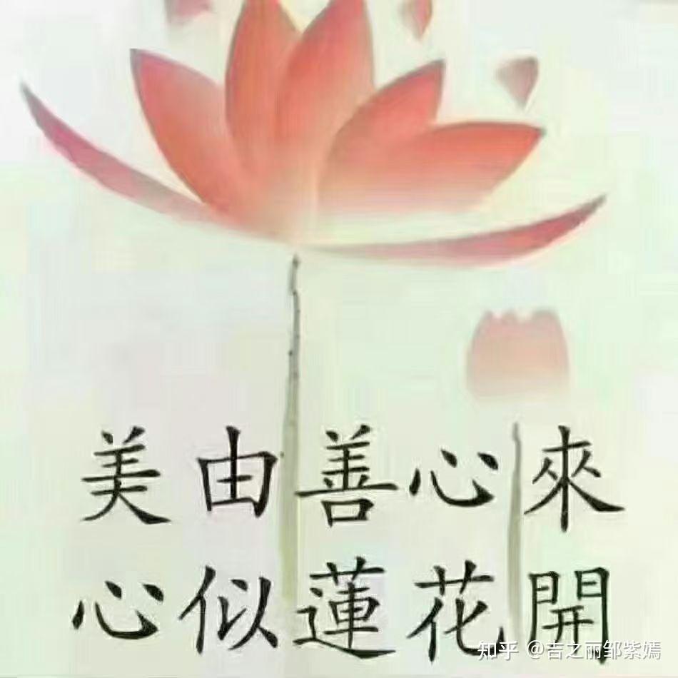 美由善心来!
