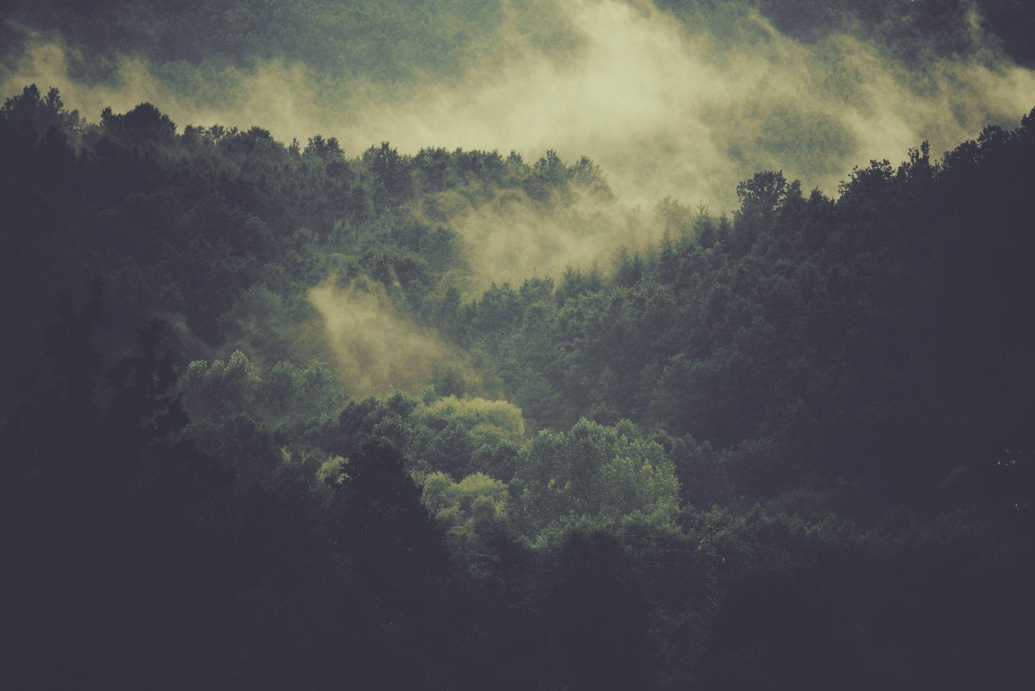 v2-4e449873d79cb44f9a9abb162052d43e_r.jpg