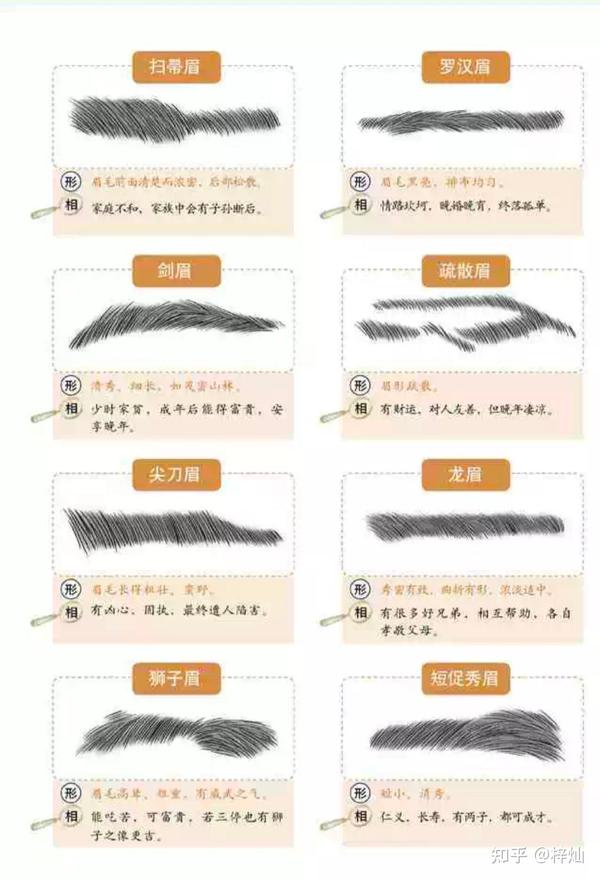 识人 五官形态眉毛 - 知乎