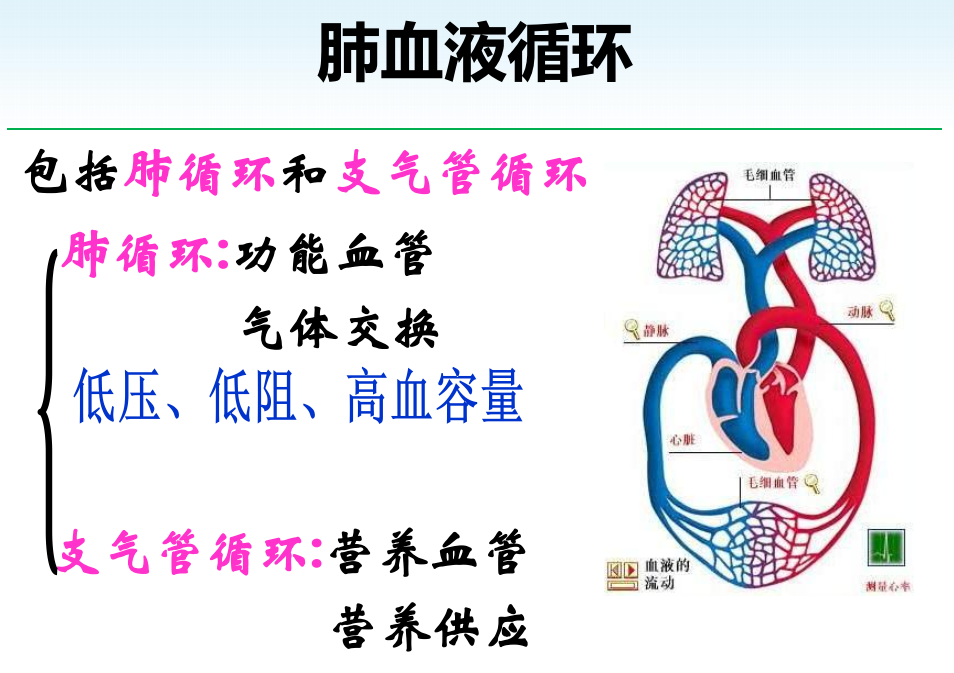 自循环通气管道系统图片