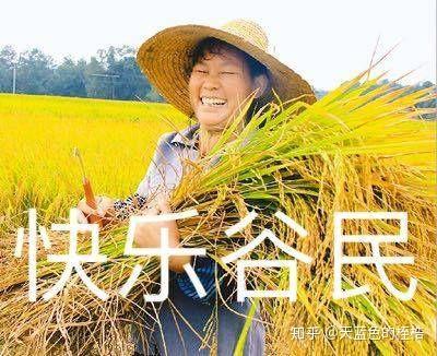 七:谷坑科普——收纳&好用工具安利篇 - 知乎