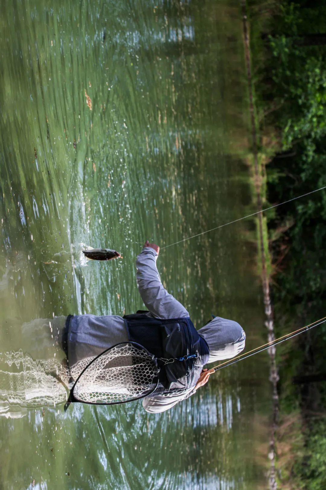 与鱼共舞50张图带你走进flyfishing的世界
