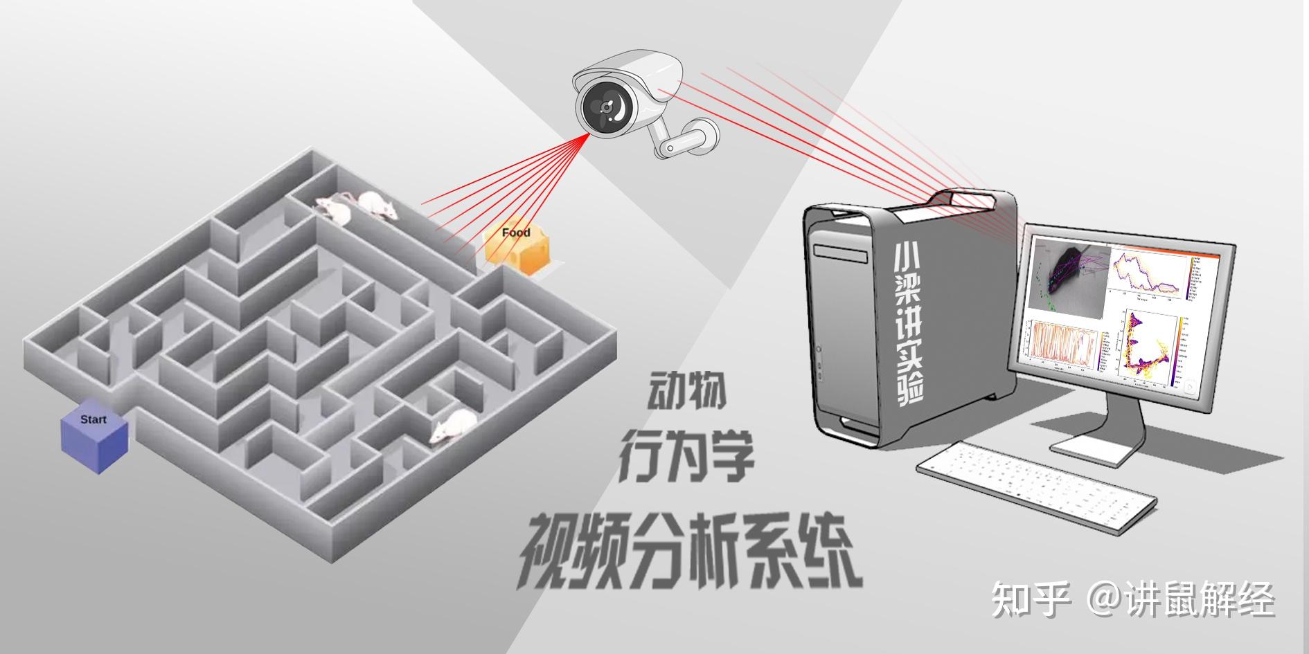 行为学研究好帮手:动物行为学视频分析系统,动物行为学分析软件 - 知乎