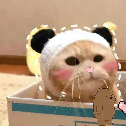 呼啦呼啦小八