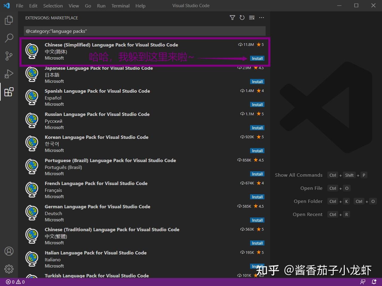 Chinese Simplified Language Pack For Visual Studio Code