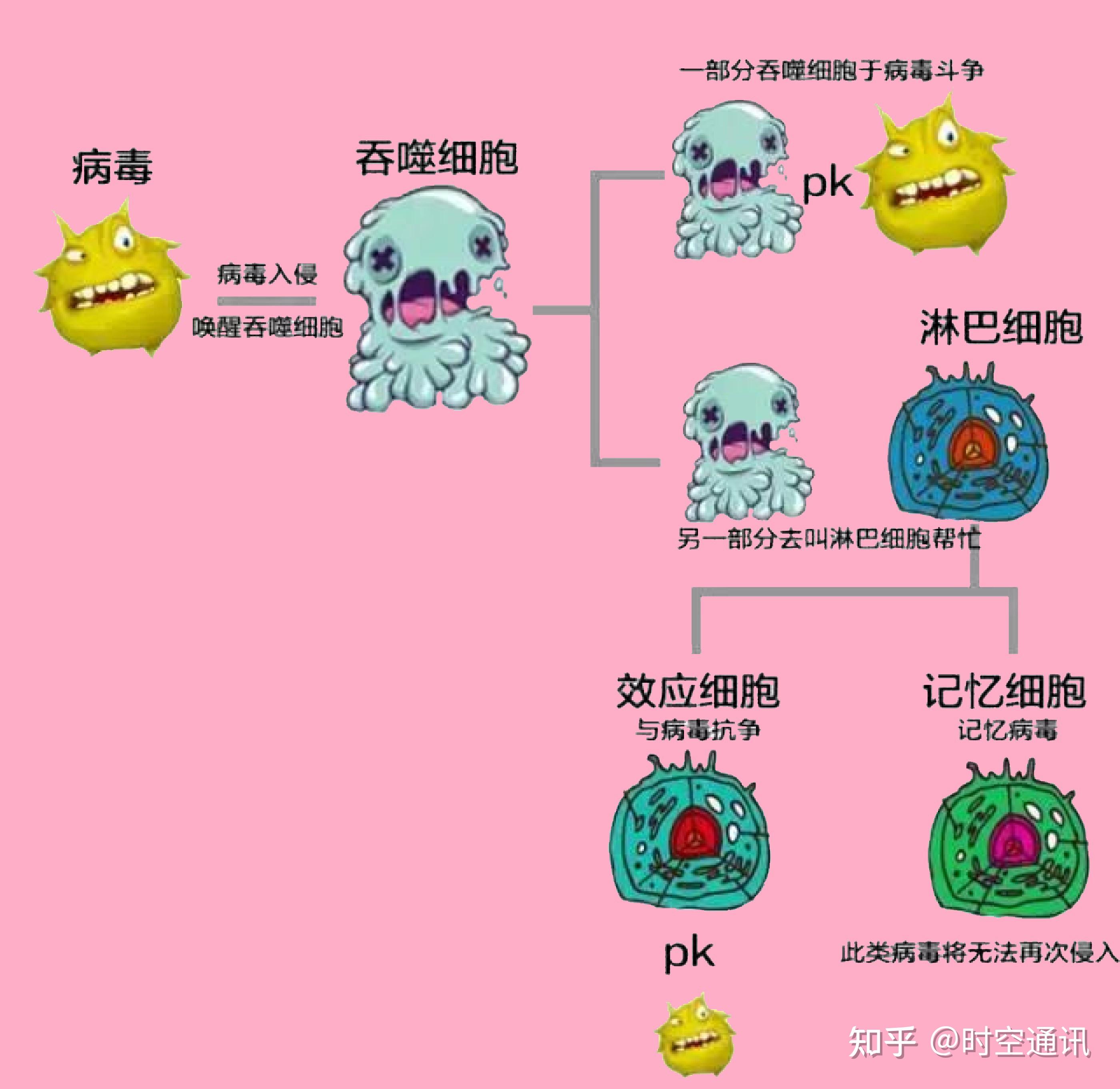 病毒种类繁多