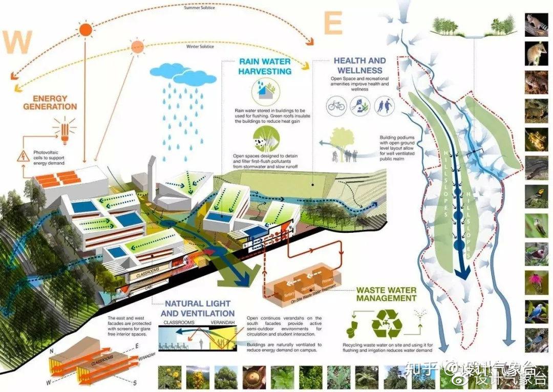 大一学妹的生态分析图惊爆眼球只因这套psd太强了