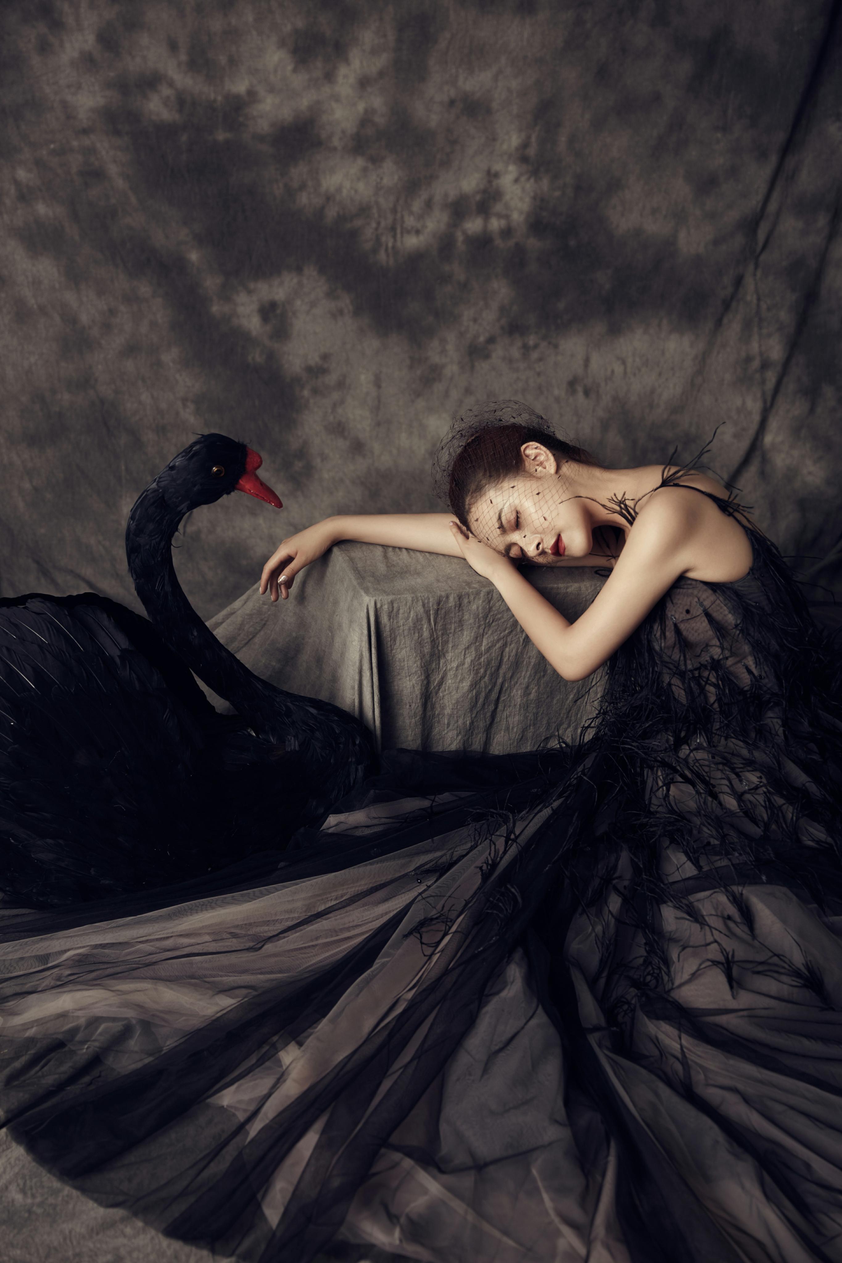 典雅复古黑天鹅的诱惑