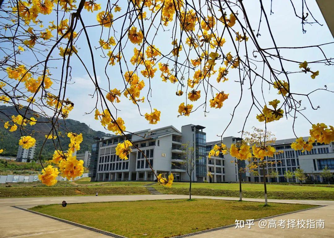 公办|【广州民航职业技术学院】录取分数/学校环境,宿舍介绍!