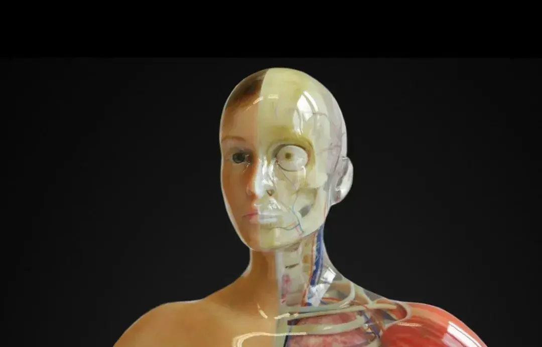 前沿打印mimaki入门级全彩3d打印机高度还原游戏手办人脸脏器模型