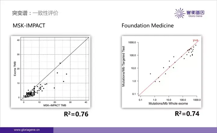 学术前沿｜MSK-IMPACT™再回首 - 知乎