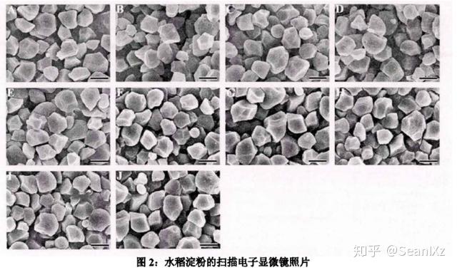 淀粉晶体结构以及糊化过程