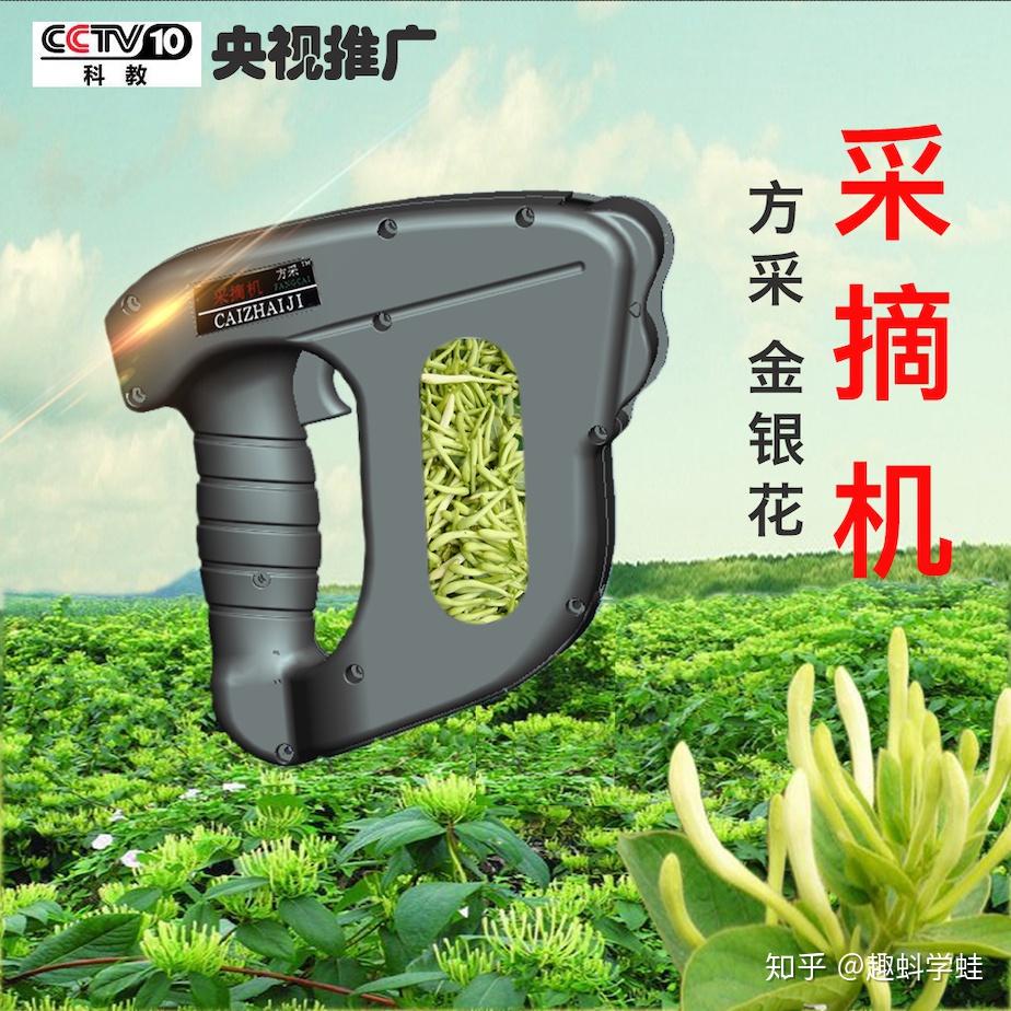 李兰波发明的方采牌金银花采摘机推动金银花种植事业的发展