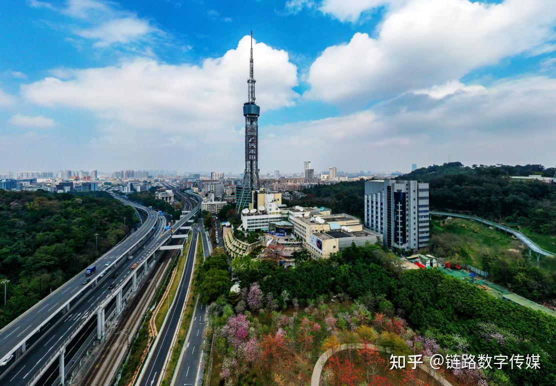 广州花果山电视塔图片图片