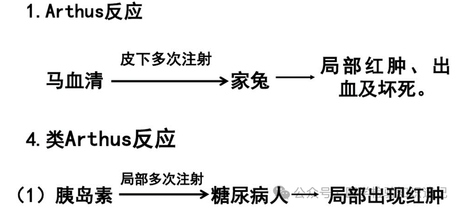 速记超敏反应---看完必得分 - 知乎