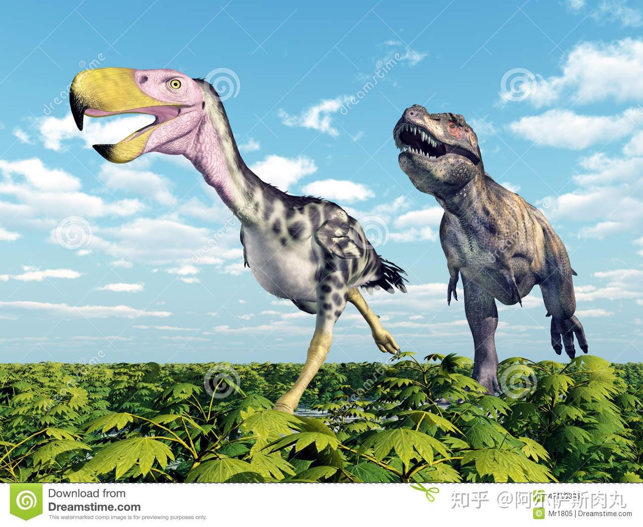 prehistoricpark丨史前公园1巨鸟奔腾骇鸟兴衰简史