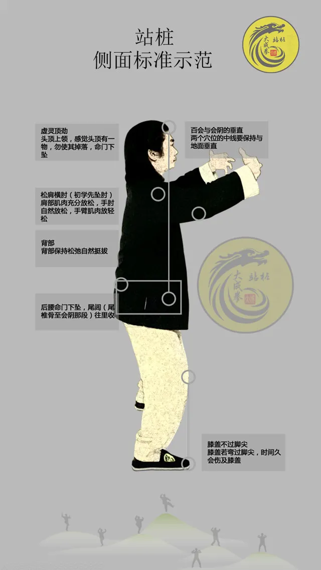 站桩的好处功效与作用,站桩的神奇功效 - 知乎
