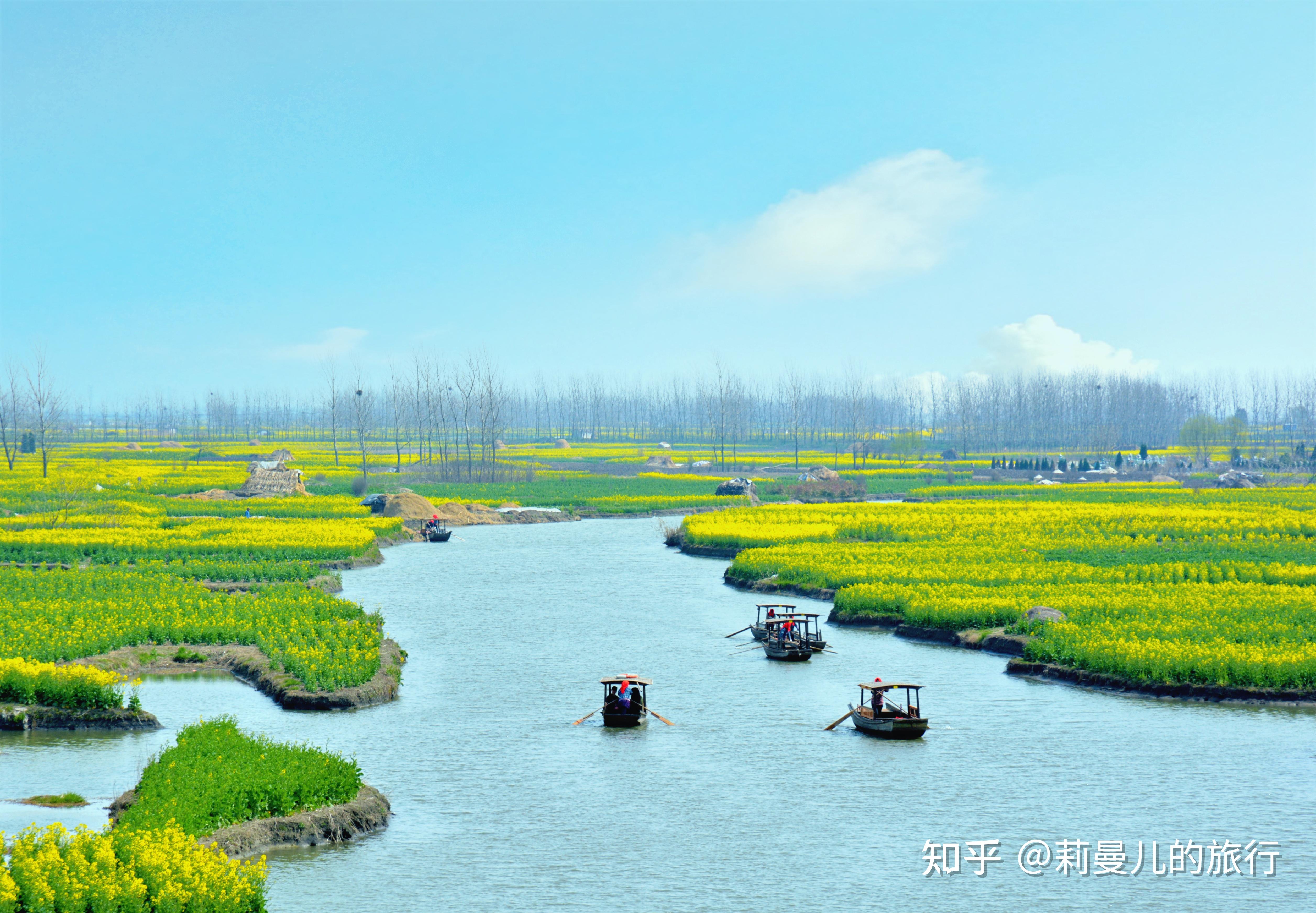 国内最美的油菜花美景地全在这里了!(附观游玩超全攻略)