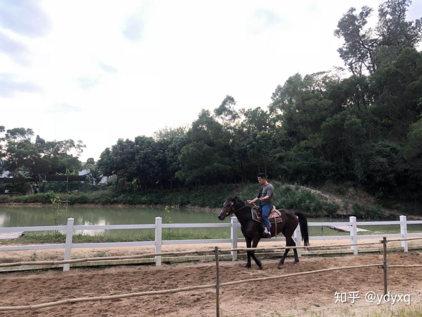 珠海有哪些马场想学骑马