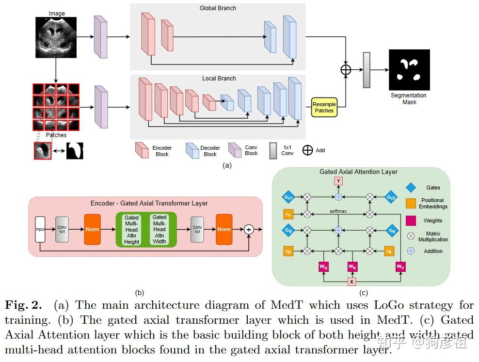 [MICCAI2021] Medical Transformer Gated AxialAttention for Medical