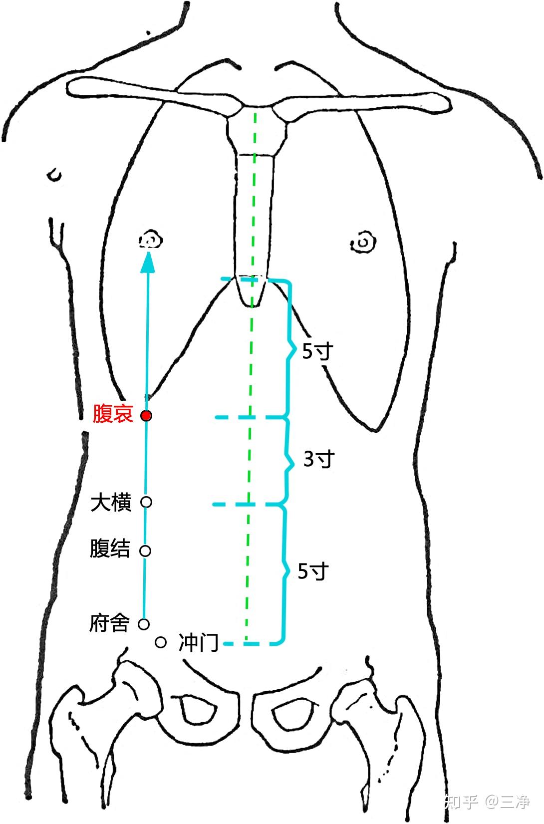 一日一穴 之 092 腹哀 知乎